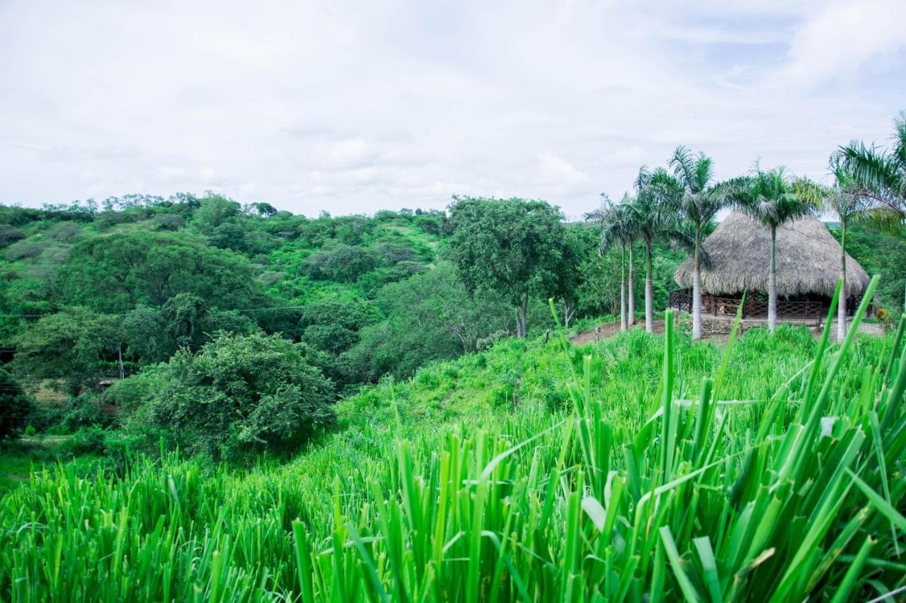 Eco Hotel Nativo Juan de Acosta Zewnętrze zdjęcie